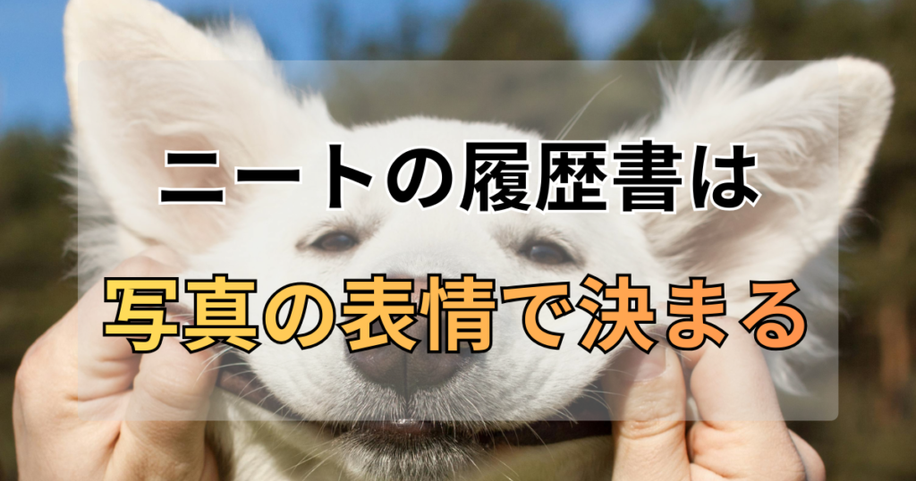 ニートの履歴書は「写真の表情」で決まる！死んだ魚の目から脱却した私の方法