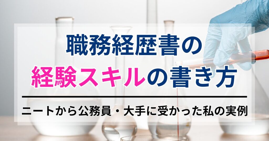 職務経歴書の経験スキルの書き方。ニートから公務員・大手に受かった私の実例