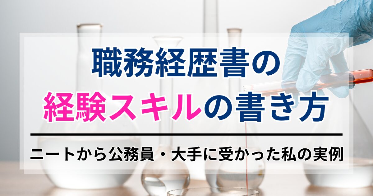 職務経歴書の経験スキルの書き方。ニートから公務員・大手に受かった私の実例